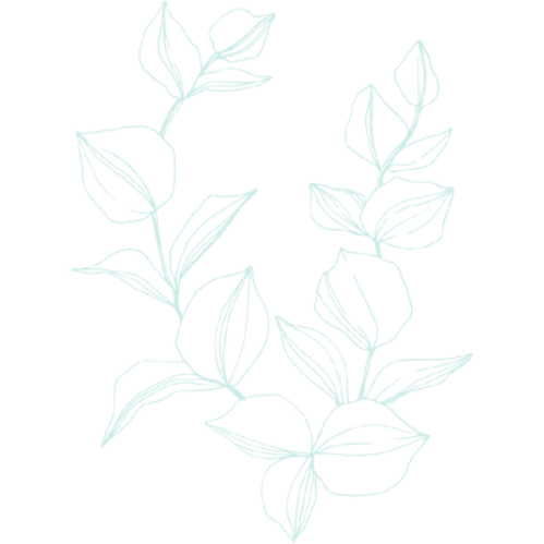 ASCH Counseling and Development, PLLC