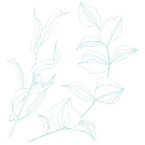 ASCH Counseling and Development, PLLC